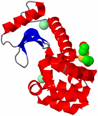 Image Asym./Biol. Unit