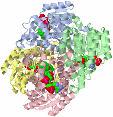 Image Asym./Biol. Unit