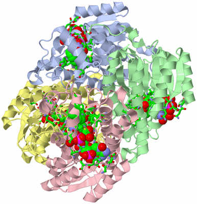 Image Asym./Biol. Unit - sites