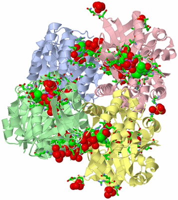 Image Biol. Unit 1 - sites