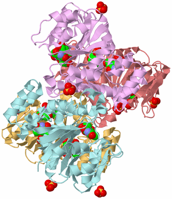 Image Biological Unit 2