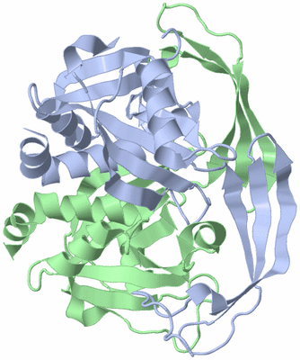 Image Asym./Biol. Unit