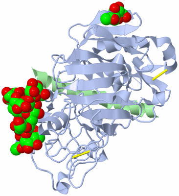 Image Biological Unit 1