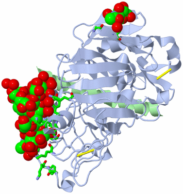 Image Biol. Unit 1 - sites