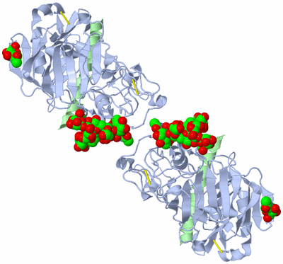 Image Biological Unit 2