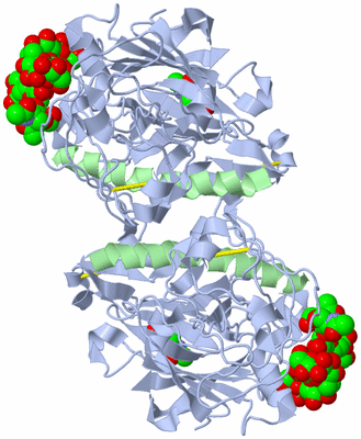 Image Biological Unit 3