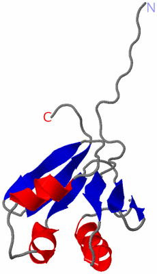 Image NMR Structure - model 1