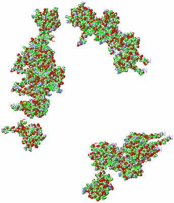 Image NMR Structure - all models