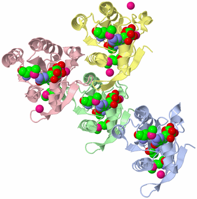 Image Asym./Biol. Unit