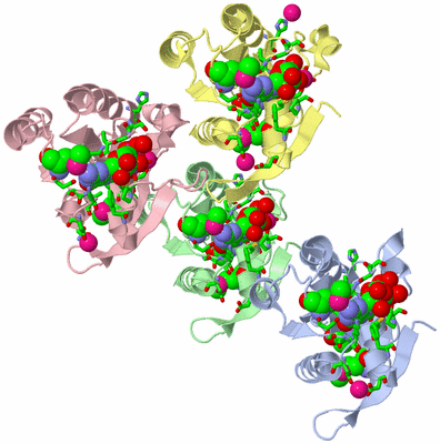 Image Asym./Biol. Unit - sites