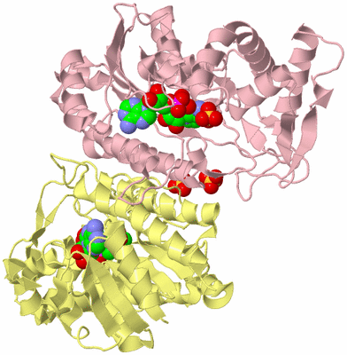 Image Biological Unit 2