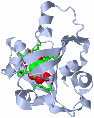 Image Biol. Unit 1 - sites