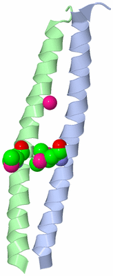 Image Asymmetric Unit