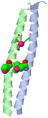 Image Asym. Unit - sites