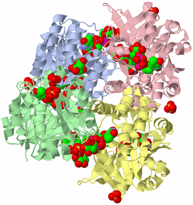 Image Biological Unit 1