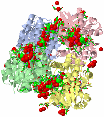 Image Biol. Unit 1 - sites