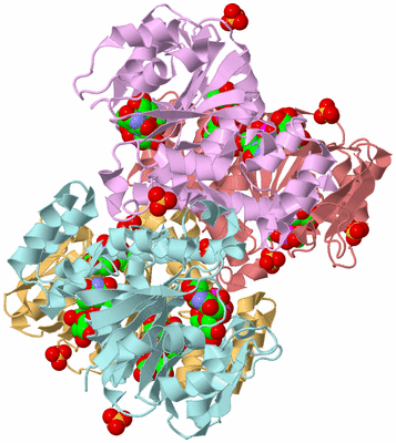 Image Biological Unit 2