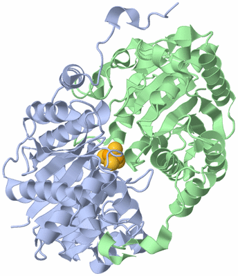 Image Asym./Biol. Unit