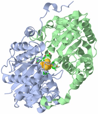 Image Asym./Biol. Unit - sites