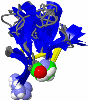 Image NMR Structure - all models