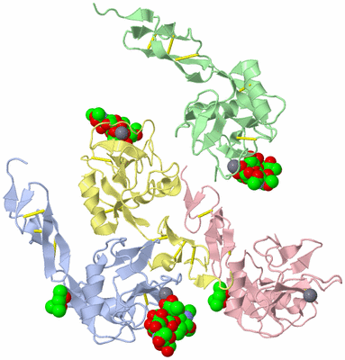 Image Asym./Biol. Unit