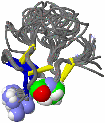 Image NMR Structure - all models