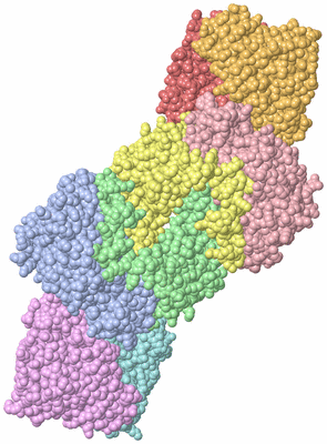 Image Asym./Biol. Unit