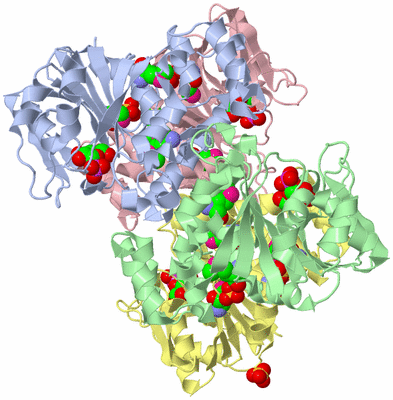 Image Biological Unit 1