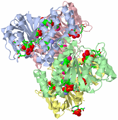 Image Biol. Unit 1 - sites