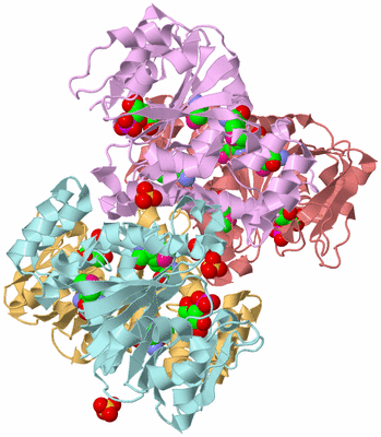 Image Biological Unit 2