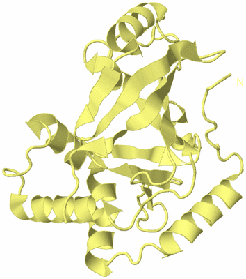 Image Biological Unit 4