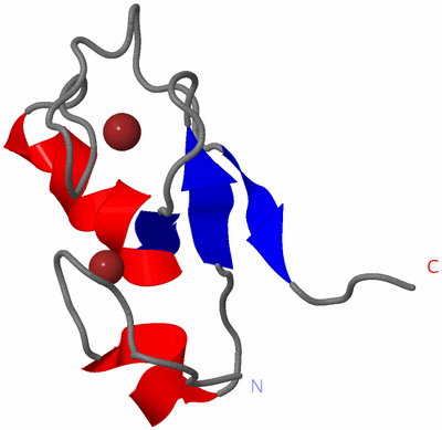 Image NMR Structure - model 1