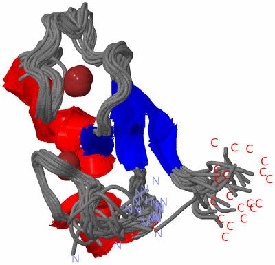 Image NMR Structure - all models