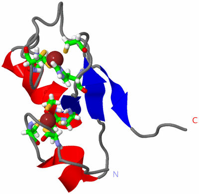 Image NMR Structure - model 1, sites