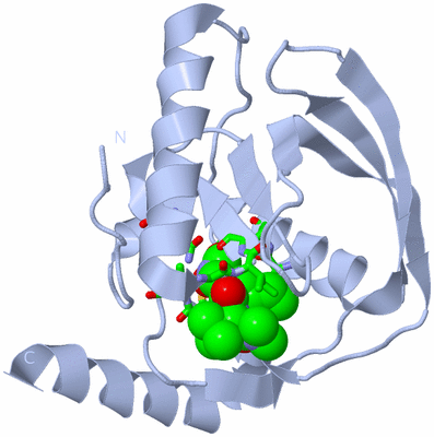 Image Biol. Unit 1 - sites