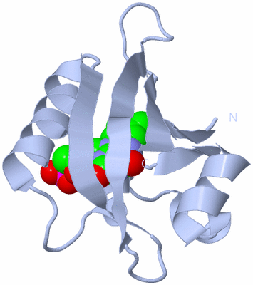 Image Biological Unit 1