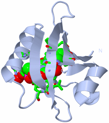 Image Biol. Unit 1 - sites