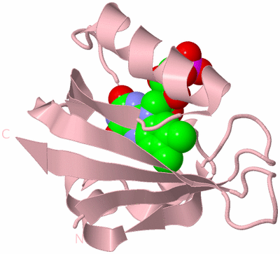 Image Biological Unit 3