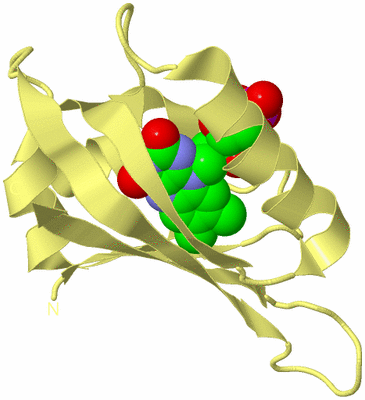 Image Biological Unit 4