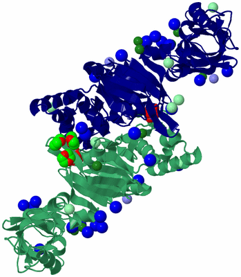 Image Biological Unit 1