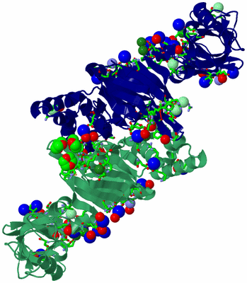 Image Biol. Unit 1 - sites