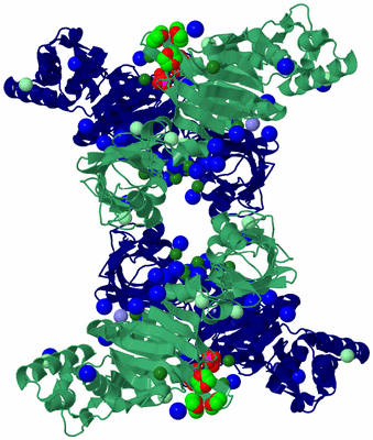 Image Biological Unit 2