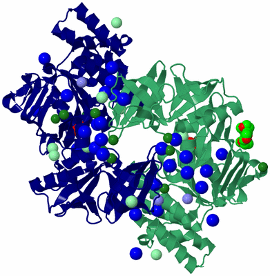 Image Biological Unit 3