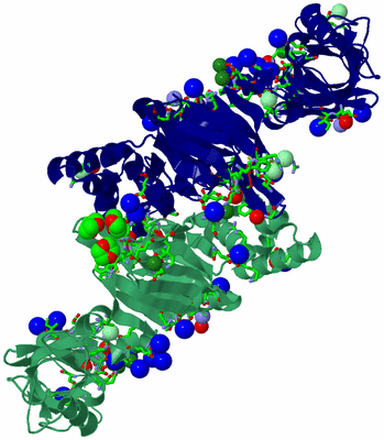 Image Asym. Unit - sites