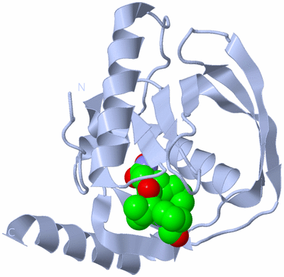 Image Biological Unit 1