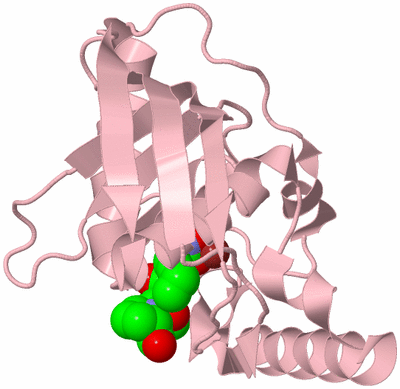 Image Biological Unit 3