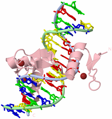 Image Biological Unit 1