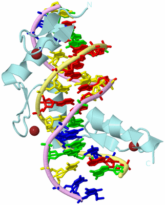 Image Biological Unit 2