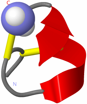 Image NMR Structure - model 1