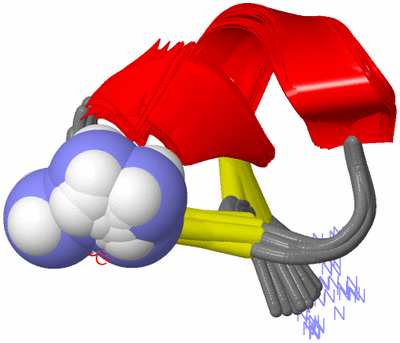 Image NMR Structure - all models